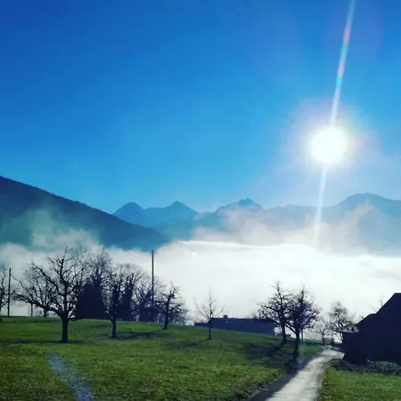 Chalet Lake Thun Alps Scenic Views And Concierge By Swisshut *