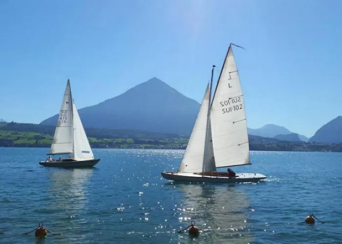 Chalet Thun Alps Scenic Views And Concierge By Swisshut