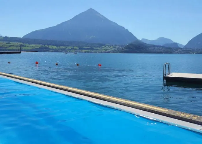 Thun Alps Scenic Views And Concierge By Swisshut Sigriswil