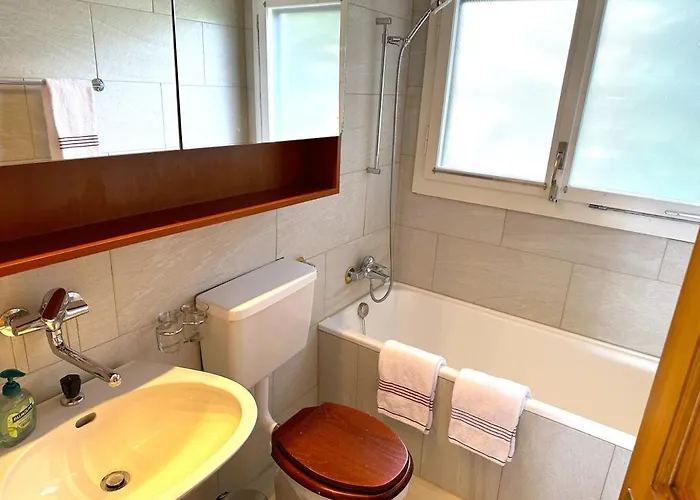 Thun Alps Scenic Views And Concierge By Swisshut * Sigriswil