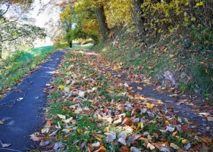 Thun Alps Scenic Views And Concierge By Swisshut * Sigriswil