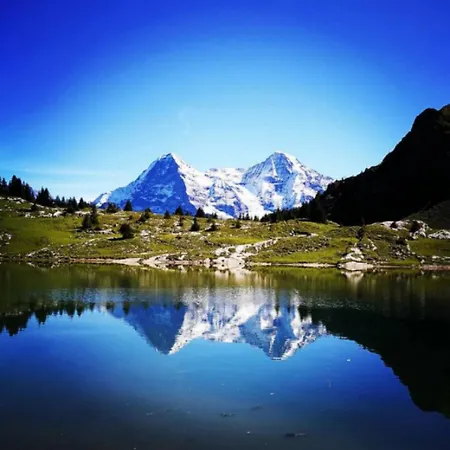 Thun Alps Scenic Views And Concierge By Swisshut 샬레 *
