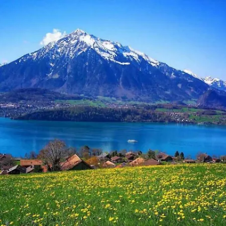 Thun Alps Scenic Views And Concierge By Swisshut 샬레 *