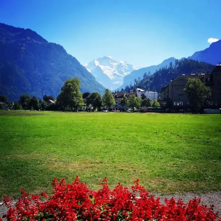 Thun Alps Scenic Views And Concierge By Swisshut 지그리스빌