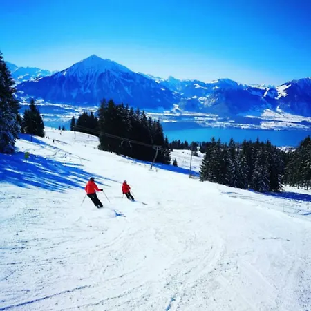 Thun Alps Scenic Views And Concierge By Swisshut Dağ evi *