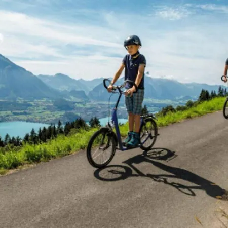 Thun Alps Scenic Views And Concierge By Swisshut