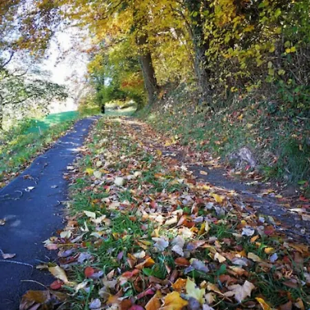 SwissHut Stunning Views Alps&Lake - Chalet Schärme * Sigriswil